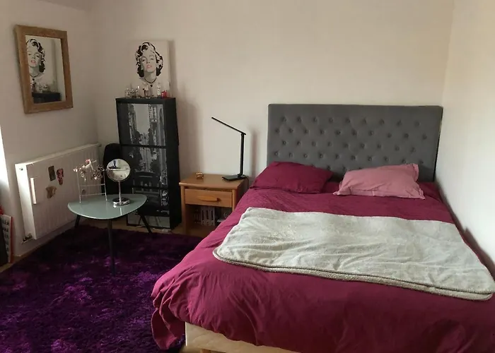 3 Chez Particulier Pour Les 24h Du Mans Ubytování v soukromí